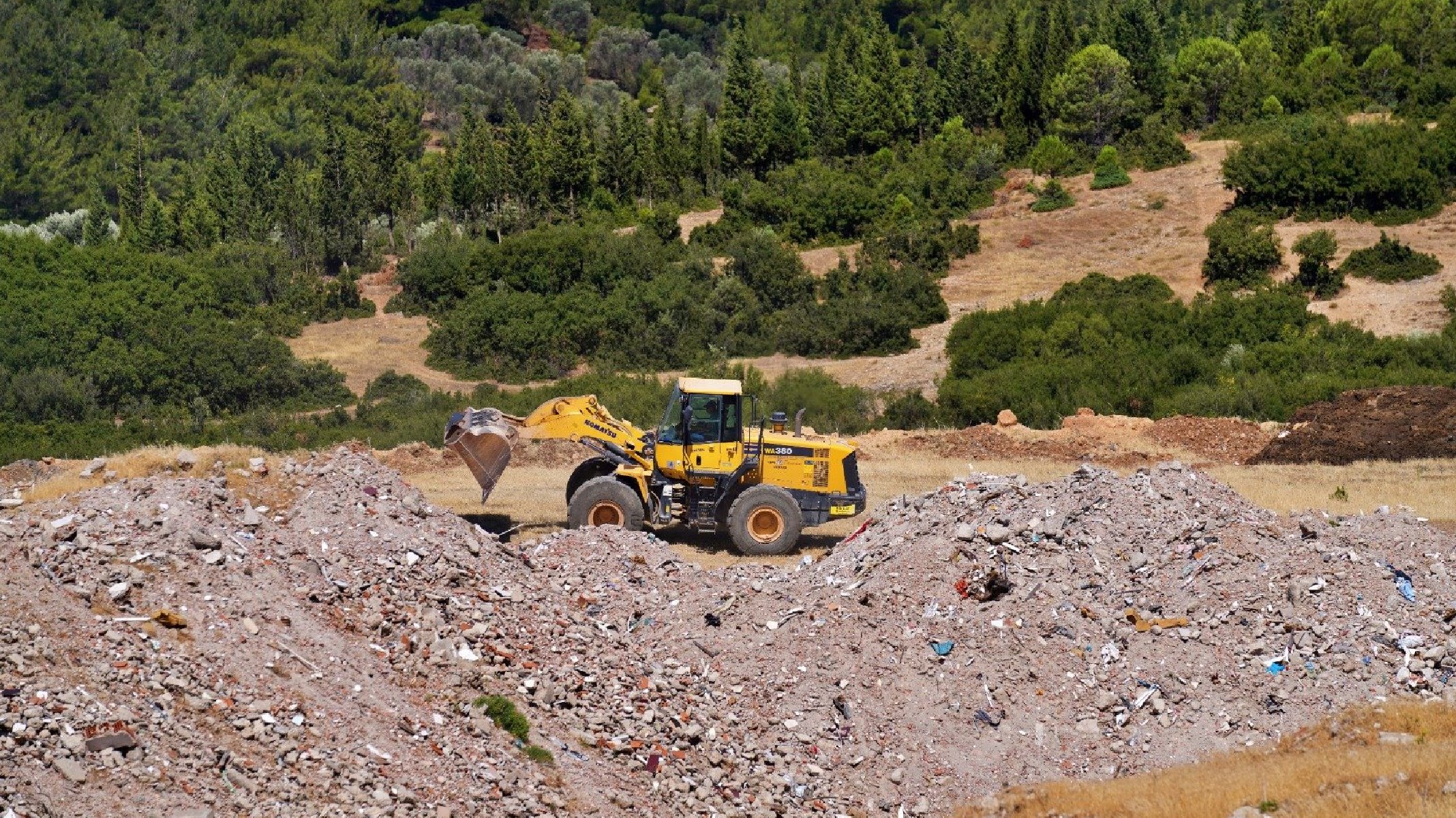Hizmet Şartları ve Kullanım Koşulları